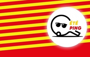 FFTT : Opération été ping