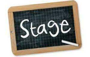 Article Stages Jeunes et Formation 