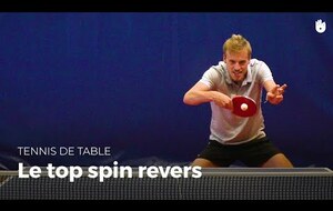 top spin revers