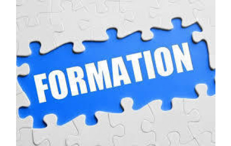 BILAN FORMATION IC 2019