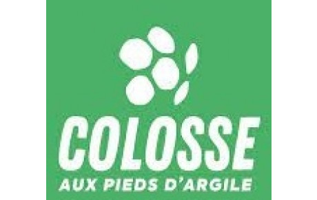 SENSIBILISATION AUX RISQUES AVEC COLOSSE AUX PIEDS ARGILE
