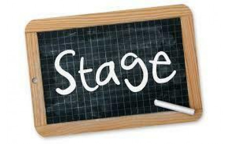 BILAN STAGE TOUSSAINT 2022